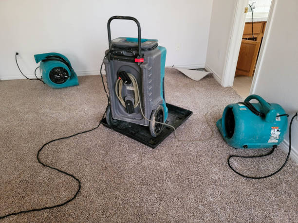 Best Residential water damage restoration  in Lyman, WY
