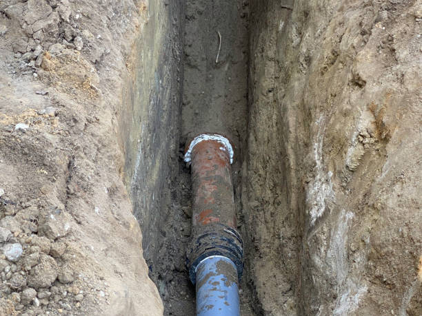 Best Flood damage cleanup  in Lyman, WY