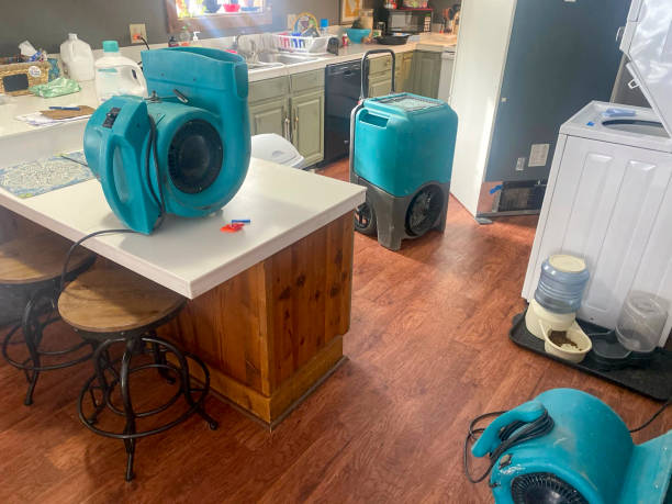 Best Professional water damage repair  in Lyman, WY