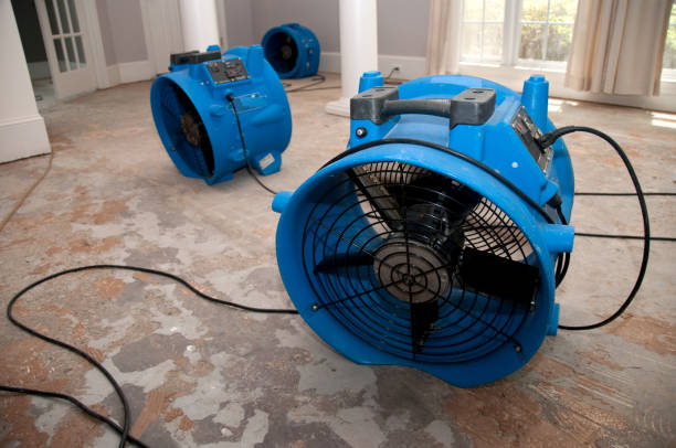 Best Ceiling water damage repair  in Lyman, WY