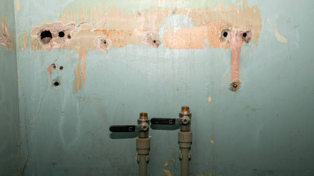 Best Flood restoration services  in Lyman, WY