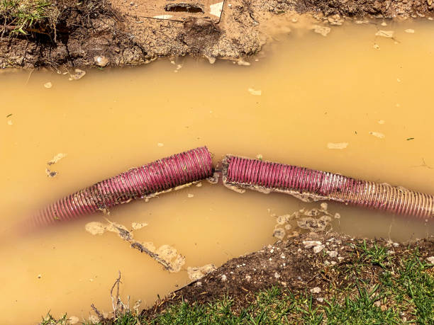 Trusted Lyman, WY Water damage restoration Experts